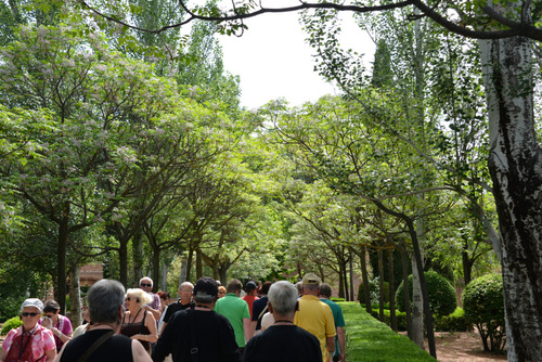 Gardens and Grounds of the Alhambra.